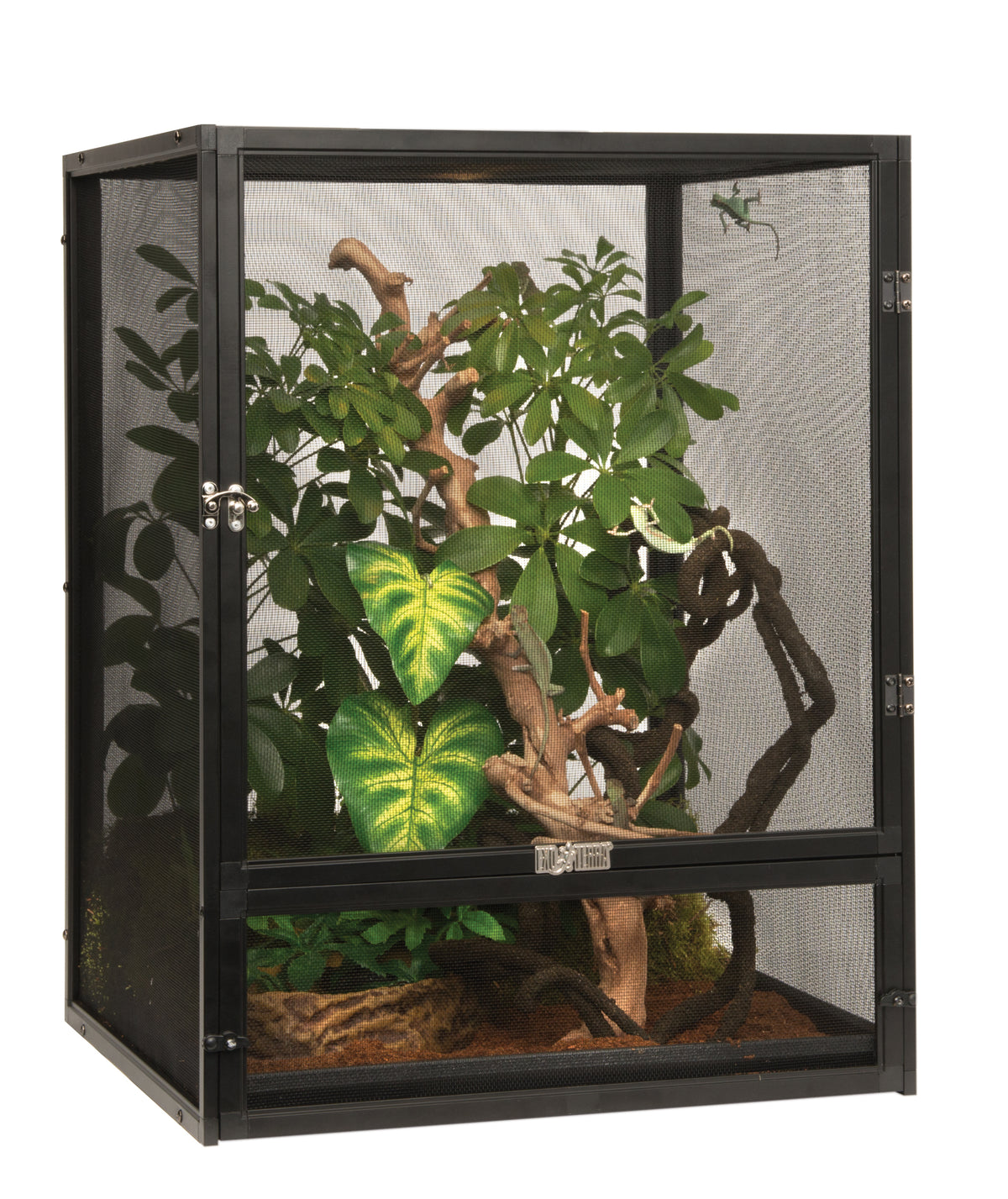 EX Screen Terrarium Small/Tall