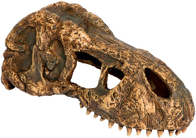 Exo Terra T-Rex Skull small