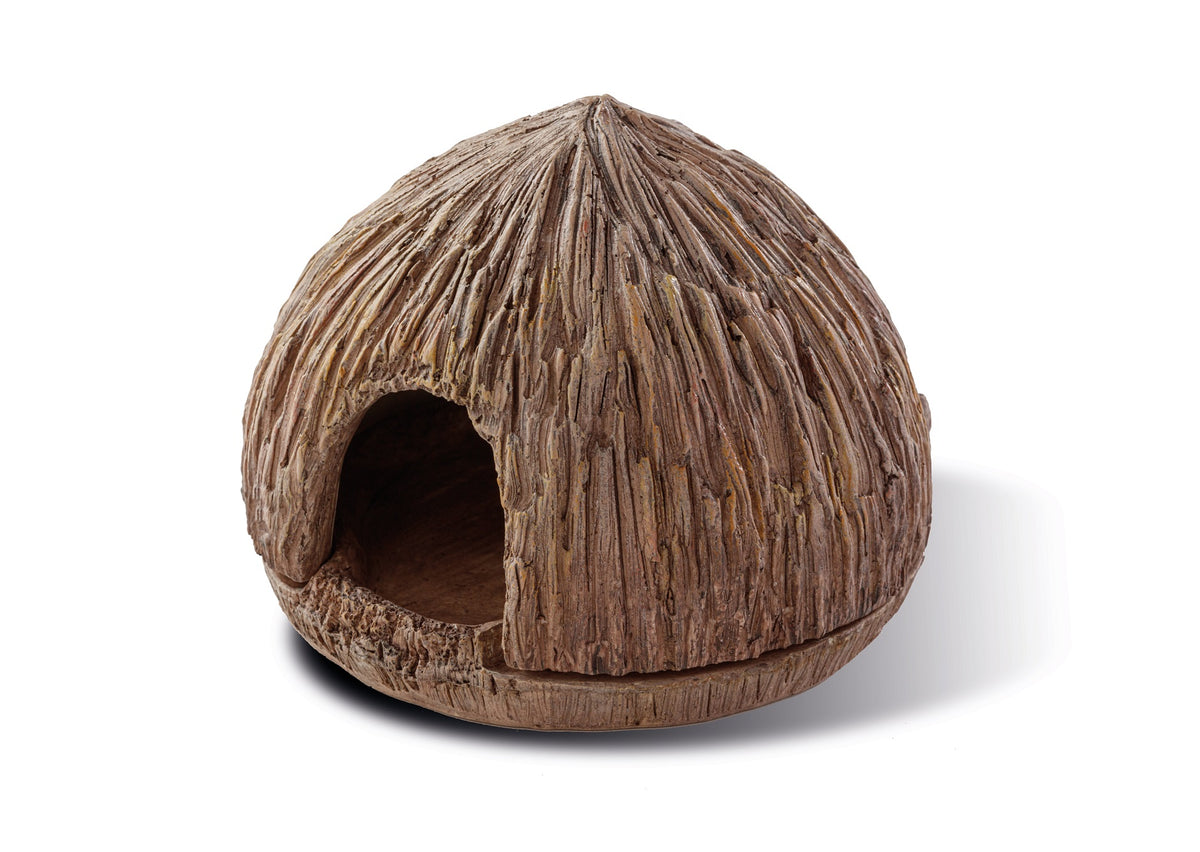 EX Coconut Cave nesting&egg-laying hide