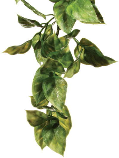 Exo Terra Shrub Plant Small Amapallo-V