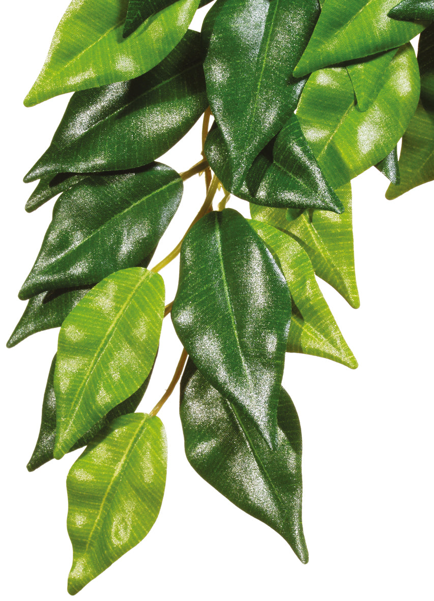 Exo Terra Silk Plant Small Ficus-V