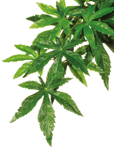 Exo Terra Silk Plant Med.Abutilon-V