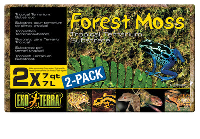 Exo Terra Forest Plume Moss, 500g