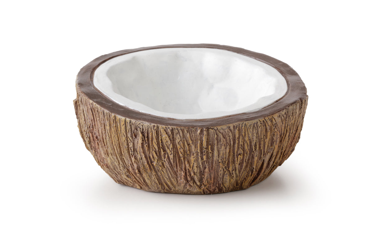 EX Coconut Water dish