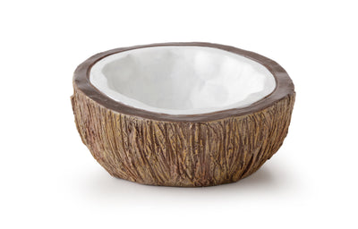 EX Coconut Water dish