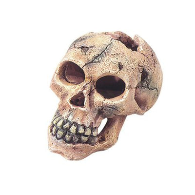 SKULL S - 11CM