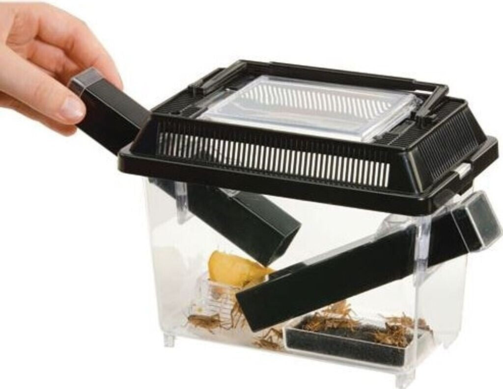Exo Terra Cricket Den, Small